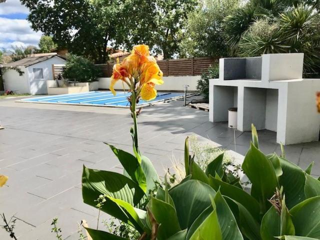 Maison Piscine 4 Ch Carcans Medoc Bassin Arcachon Kültér fotó
