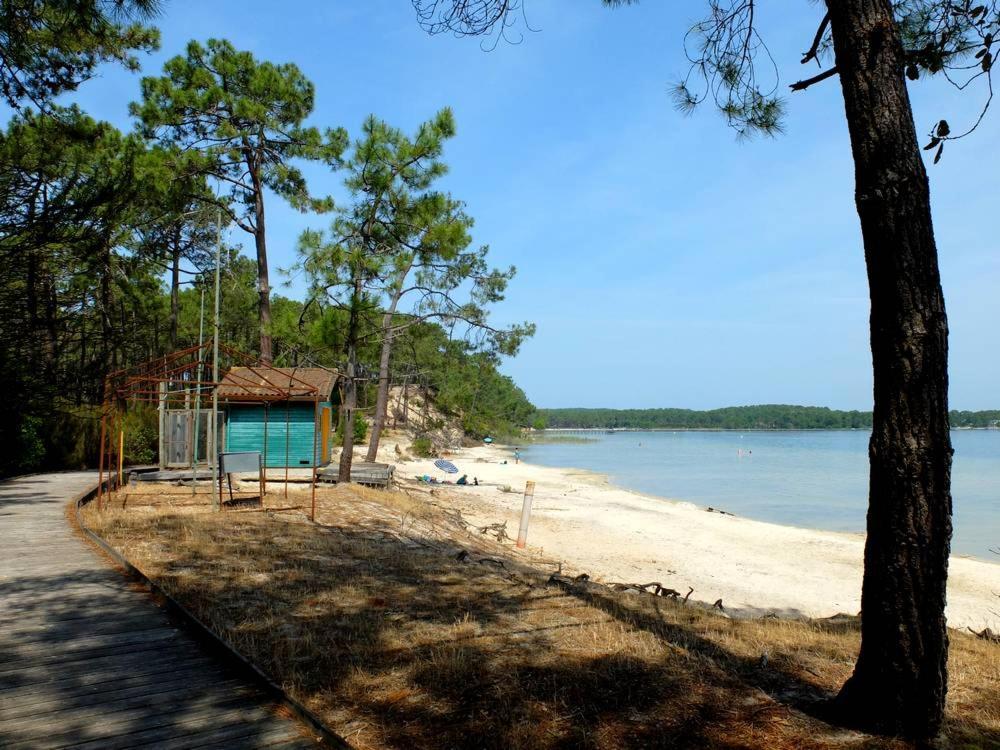 Maison Piscine 4 Ch Carcans Medoc Bassin Arcachon Kültér fotó