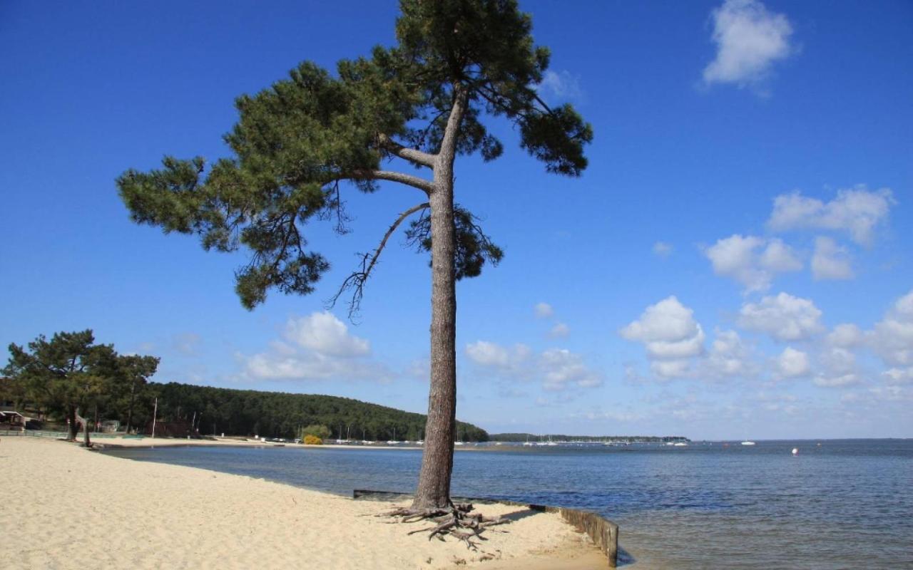 Maison Piscine 4 Ch Carcans Medoc Bassin Arcachon Kültér fotó