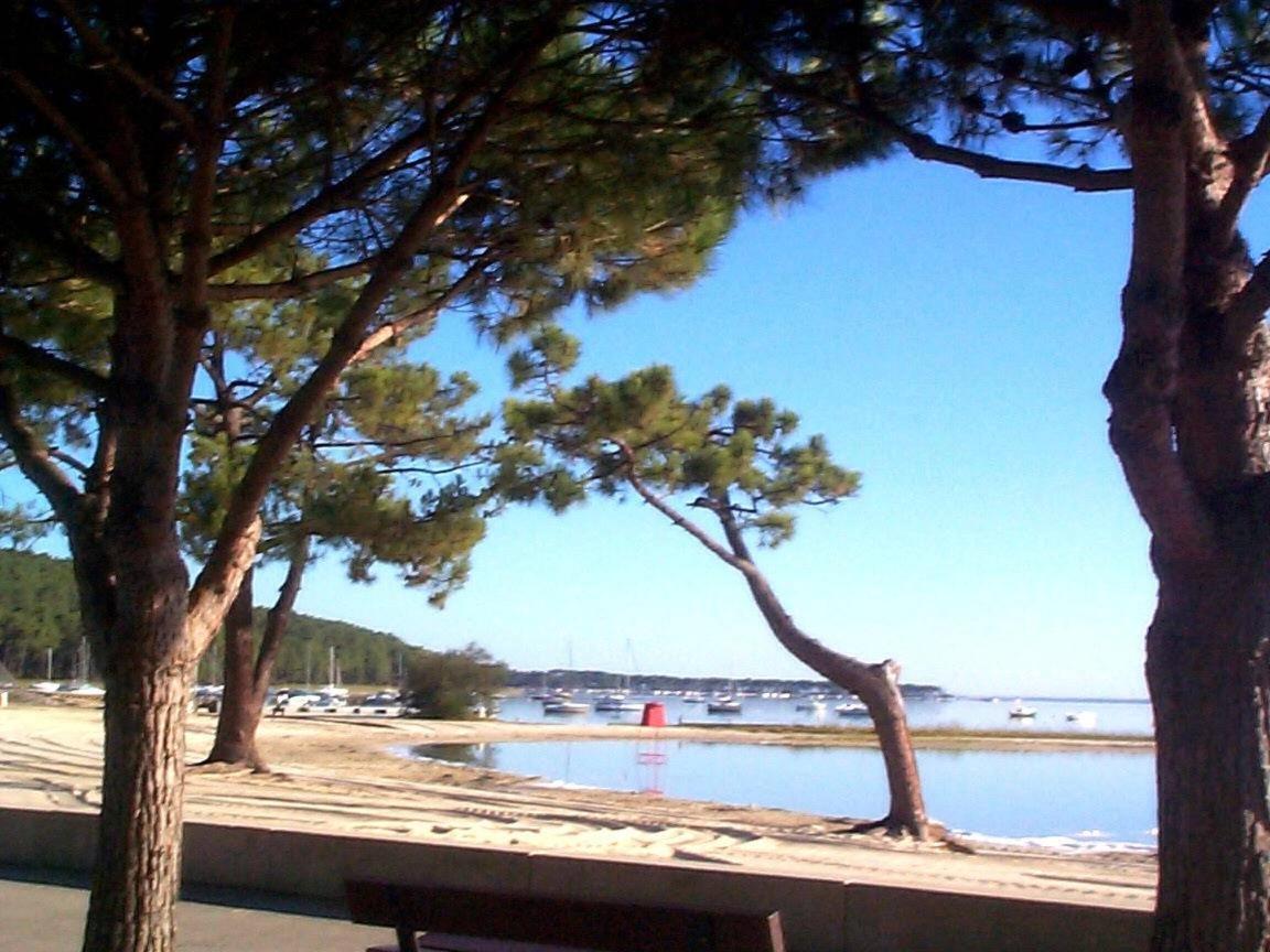 Maison Piscine 4 Ch Carcans Medoc Bassin Arcachon Kültér fotó