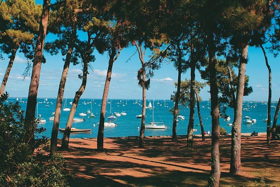 Maison Piscine 4 Ch Carcans Medoc Bassin Arcachon Kültér fotó